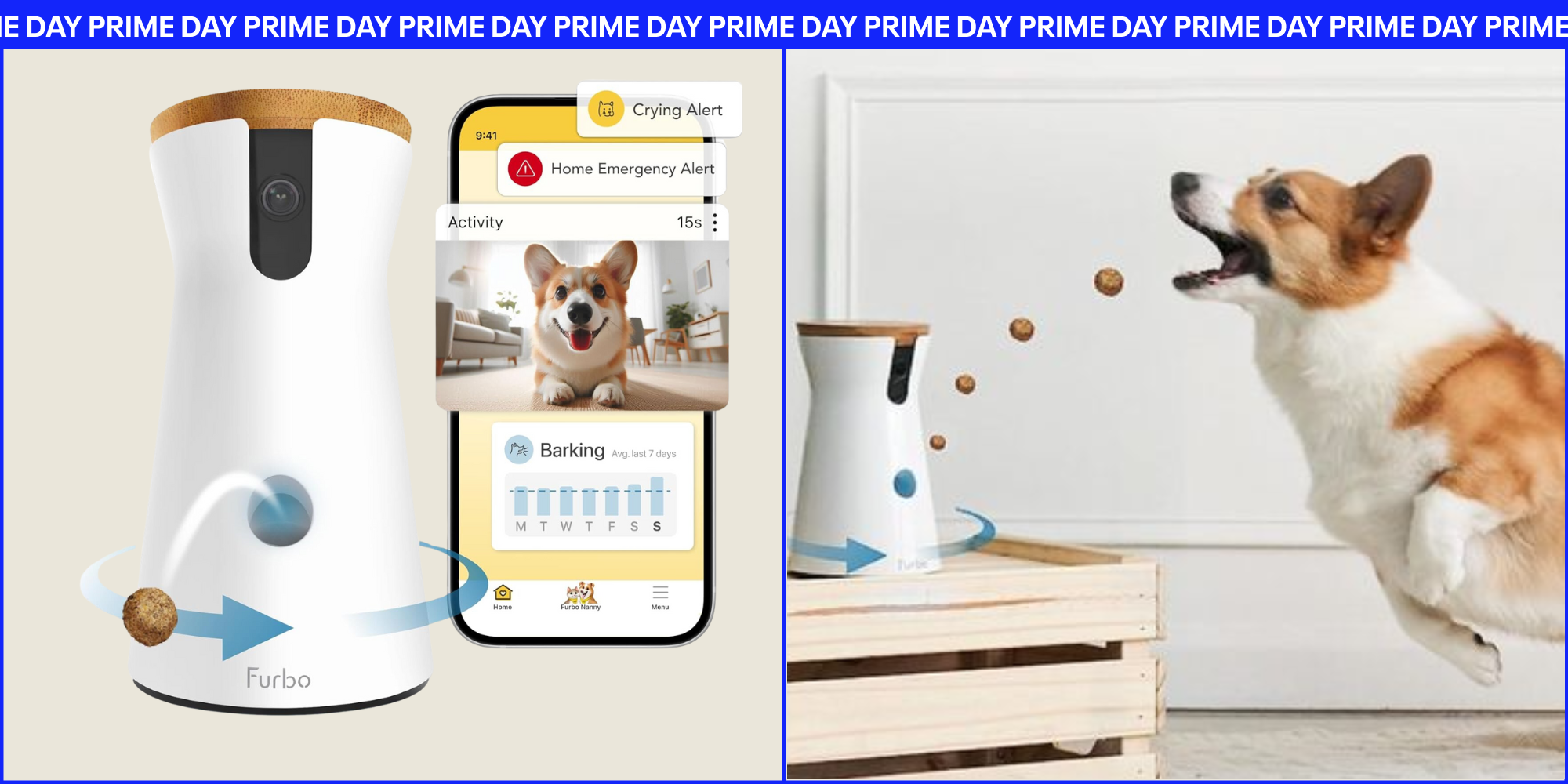 20 Best Pet Deals of Amazon Prime Day 2024