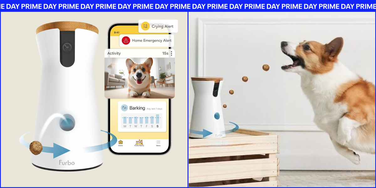 Amazon prime pet supplies best sale