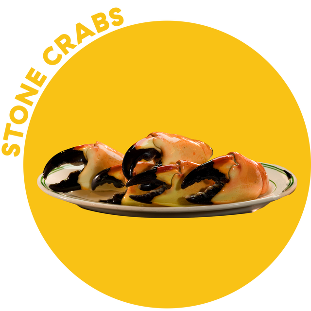 Food, Dish, Mussel, Cuisine, Ingredient, Seafood, Recipe, Produce, Bivalve, Tableware, Food, Dish, Mussel, Cuisine, Ingredient, Seafood, Recipe, Produce, Bivalve, Tableware,