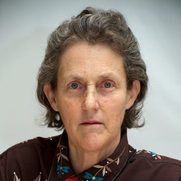 temple grandin