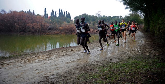 varios atletas africanos y europeos corren en el cross de itálica de sevilla en 2012