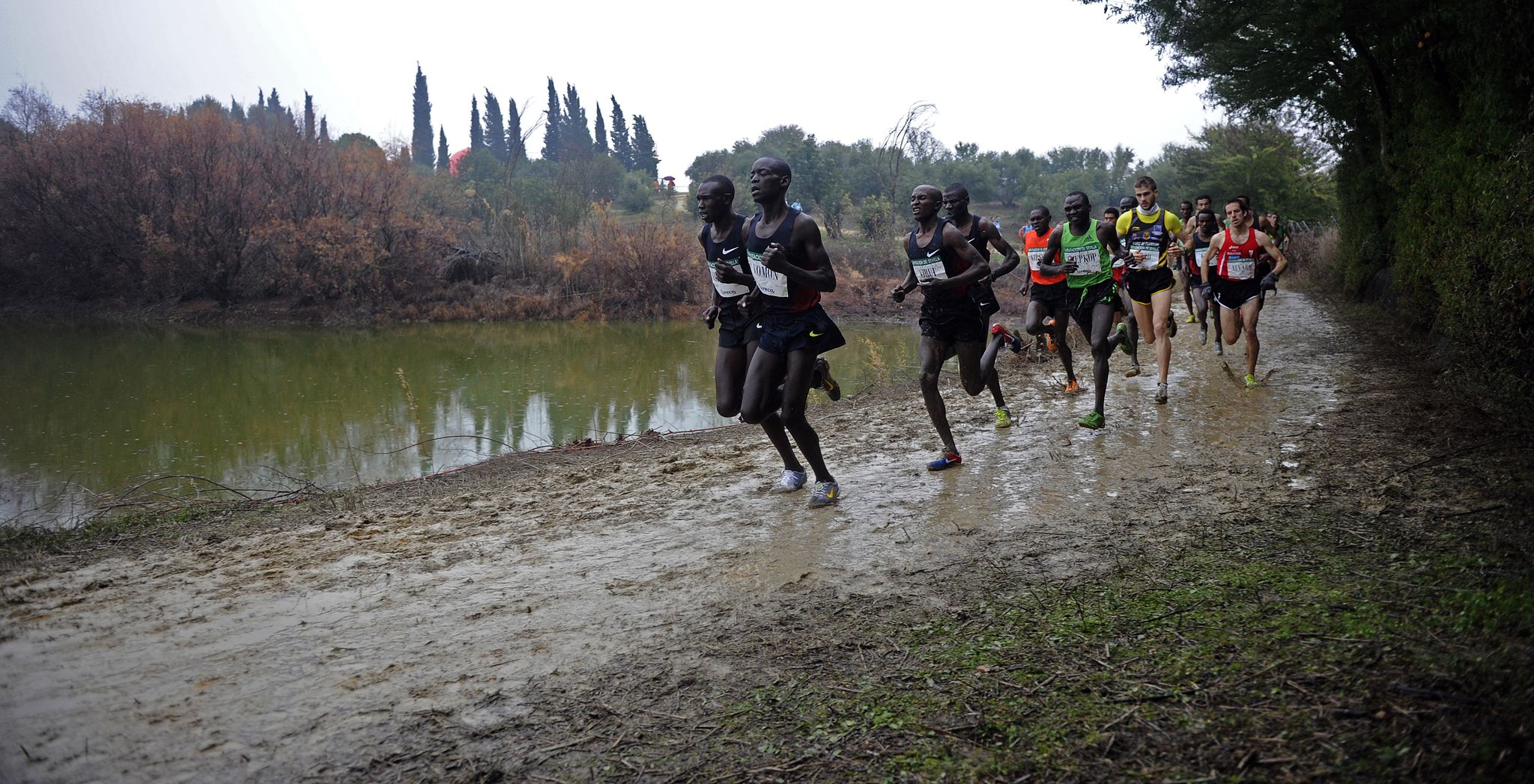 varios atletas africanos y europeos corren en el cross de itálica de sevilla en 2012