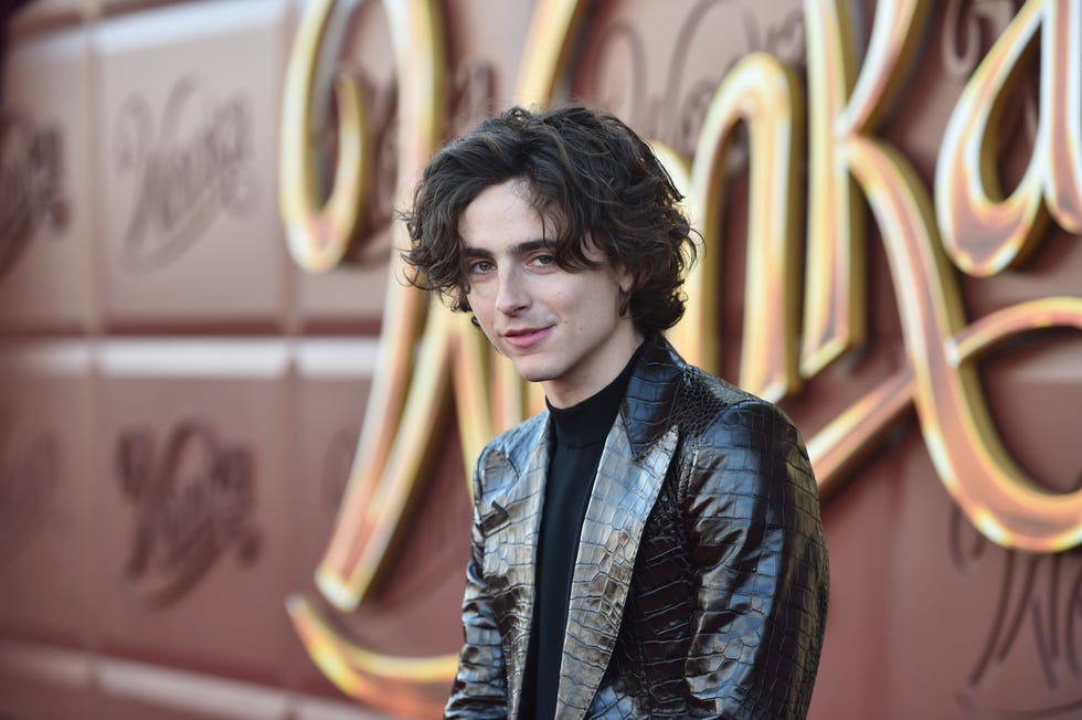 Tendenze capelli uomo 2024: tutto sul taglio di Timothée Chalamet