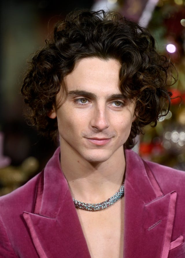 Tendenze capelli uomo 2024: tutto sul taglio di Timothée Chalamet