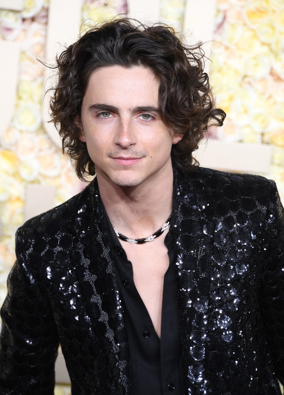 Tendenze capelli uomo 2024: tutto sul taglio di Timothée Chalamet