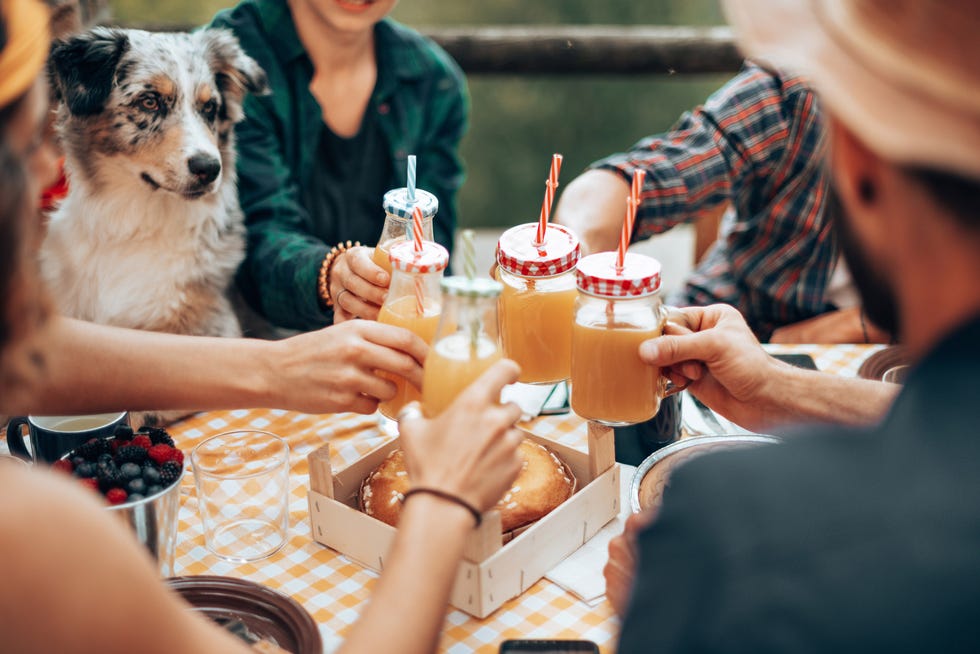 tener invitados si tienes perro en casa