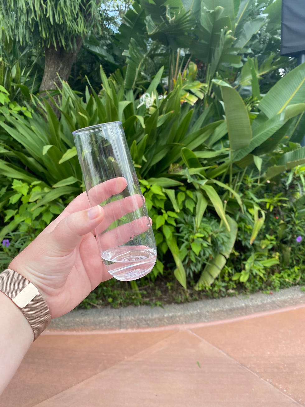 epcot the rock's tequila