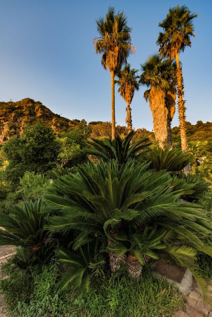 Park of Negombo, Ischia