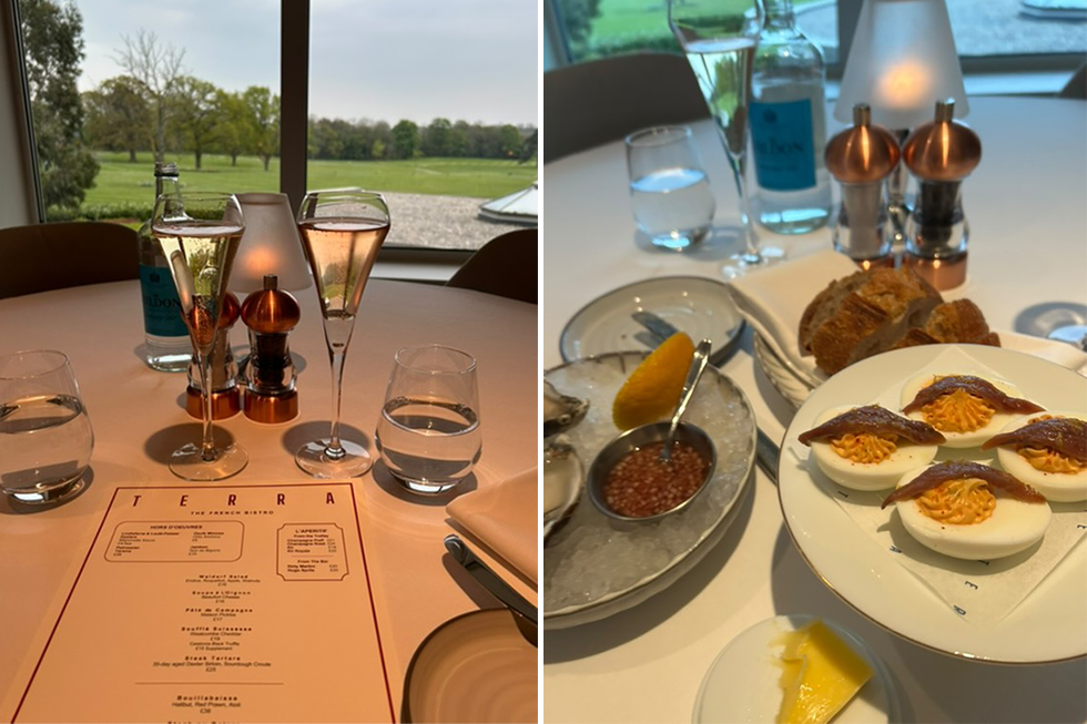 rockliffe hall review