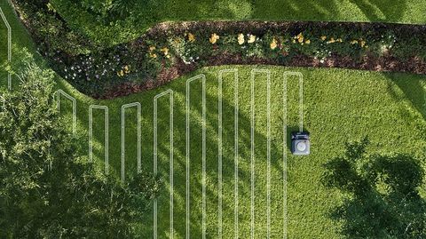 Green, Grass, Water, Grass family, Leaf, Aerial photography, Plant, Line, Landscape, Terrestrial plant, 