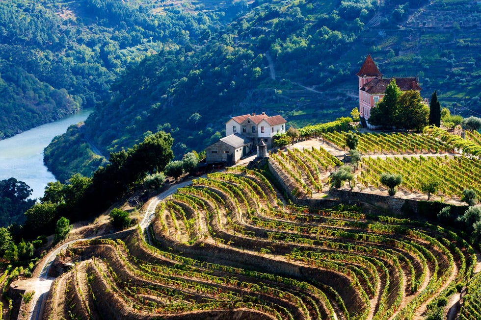 Best river cruises best river cruises