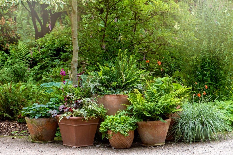 14 Raised Garden Bed Ideas to Elevate Your Yard