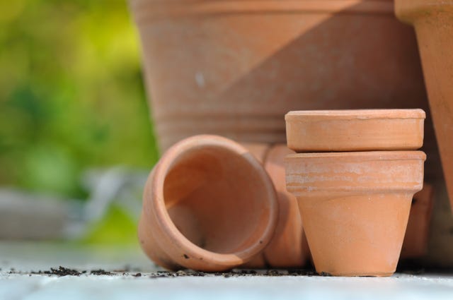 terracotta pots