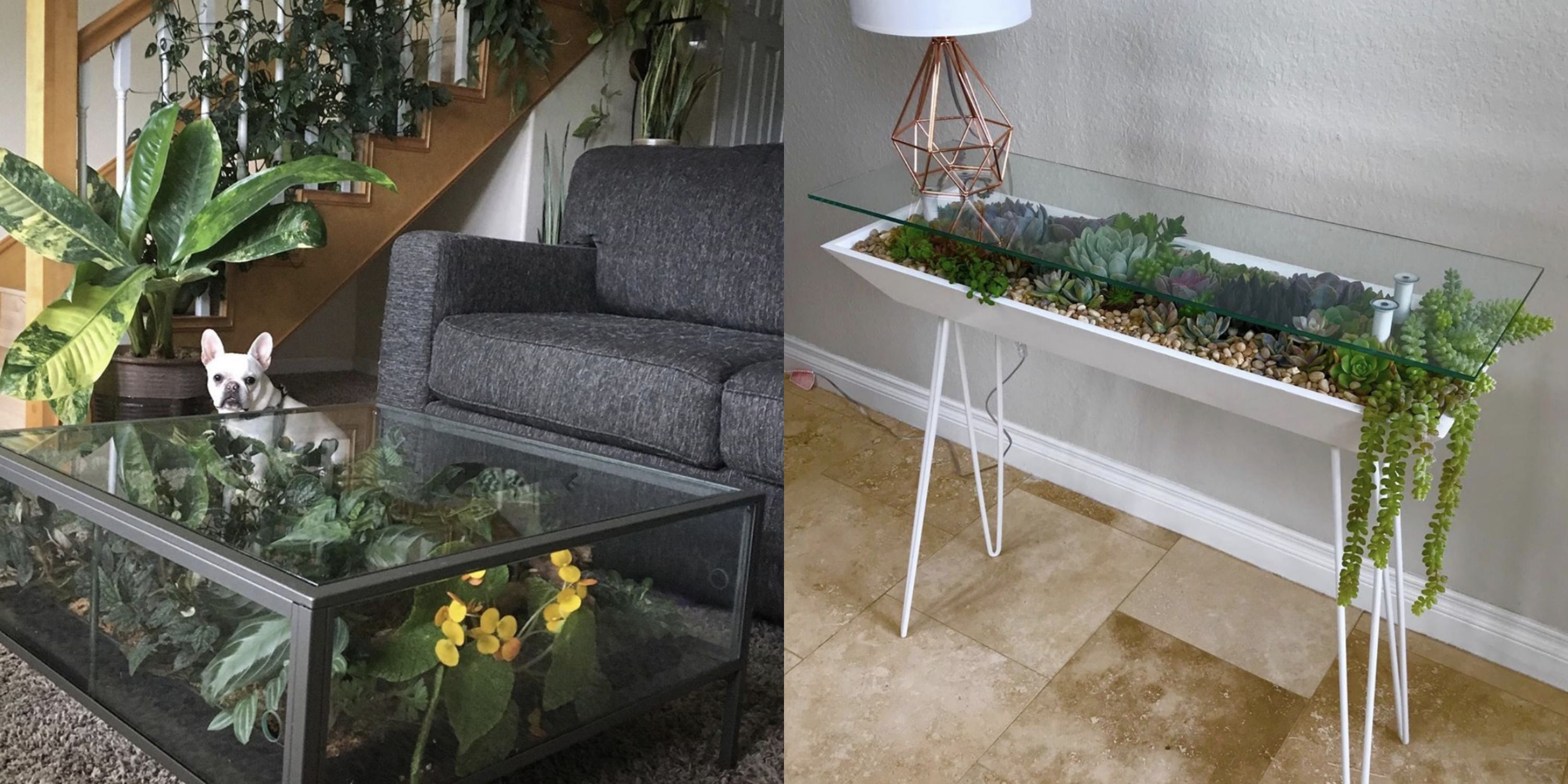 DIY Terrarium Moss Garden Coffee Table: Building a terrarium