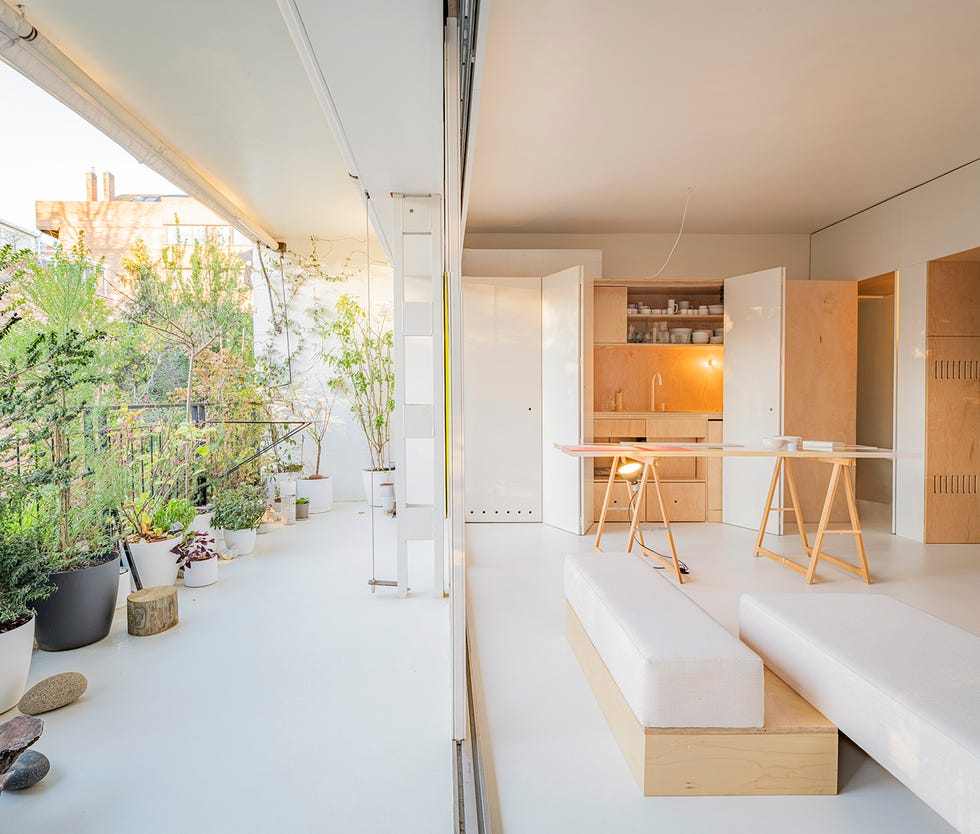 Terraza dividida de cristal con plantas, salón y cocina en Madeira