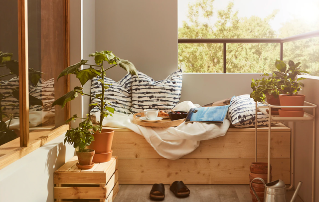 Terraza decorada con plantas y un banco de madera