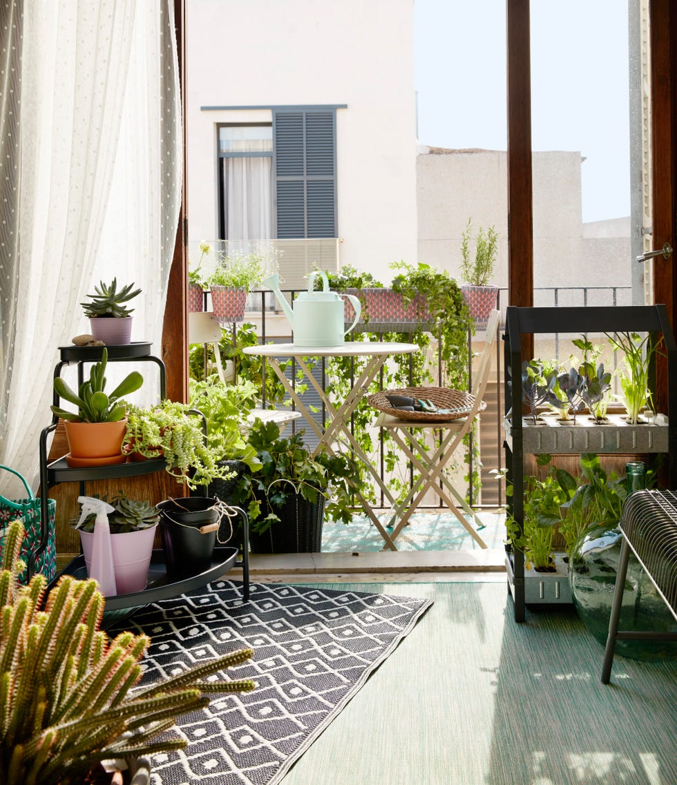 Terraza decorada con plantas