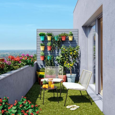 terraza pequeña con pared de plantas