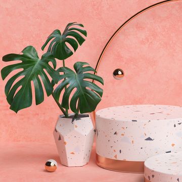 terrazzo and gold pedestal steps on pastel background with monstera plant leaves, three cylinderical platforms, abstract minimal composition, blank space 3d rendering
