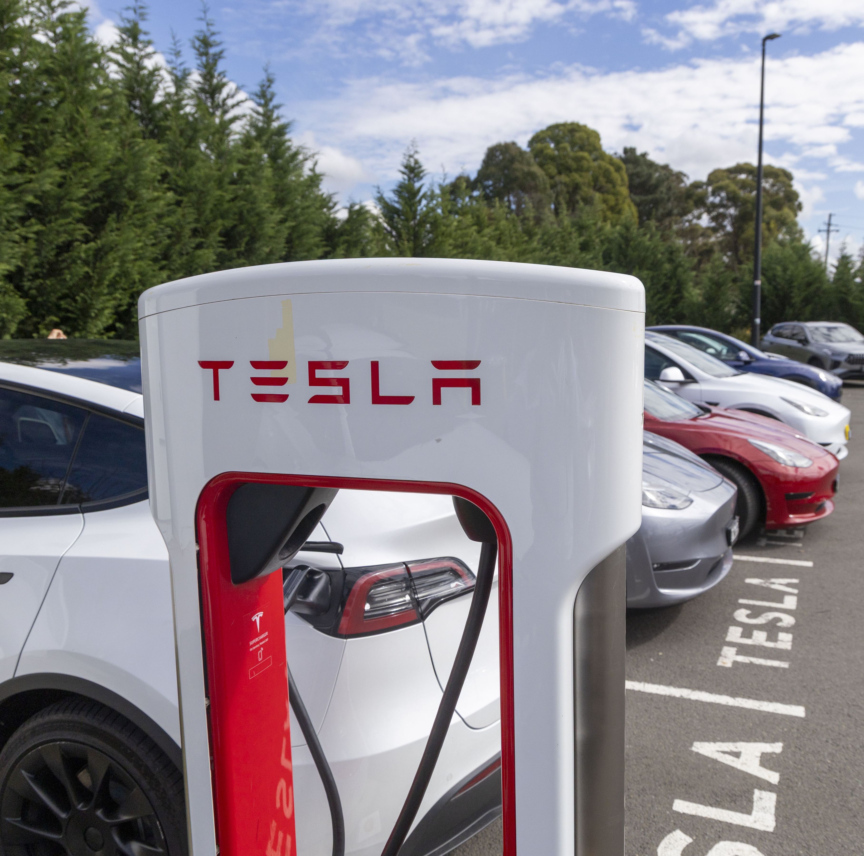Tesla Robotaxis Are Coming to More Cities—Here's What's Next After Austin