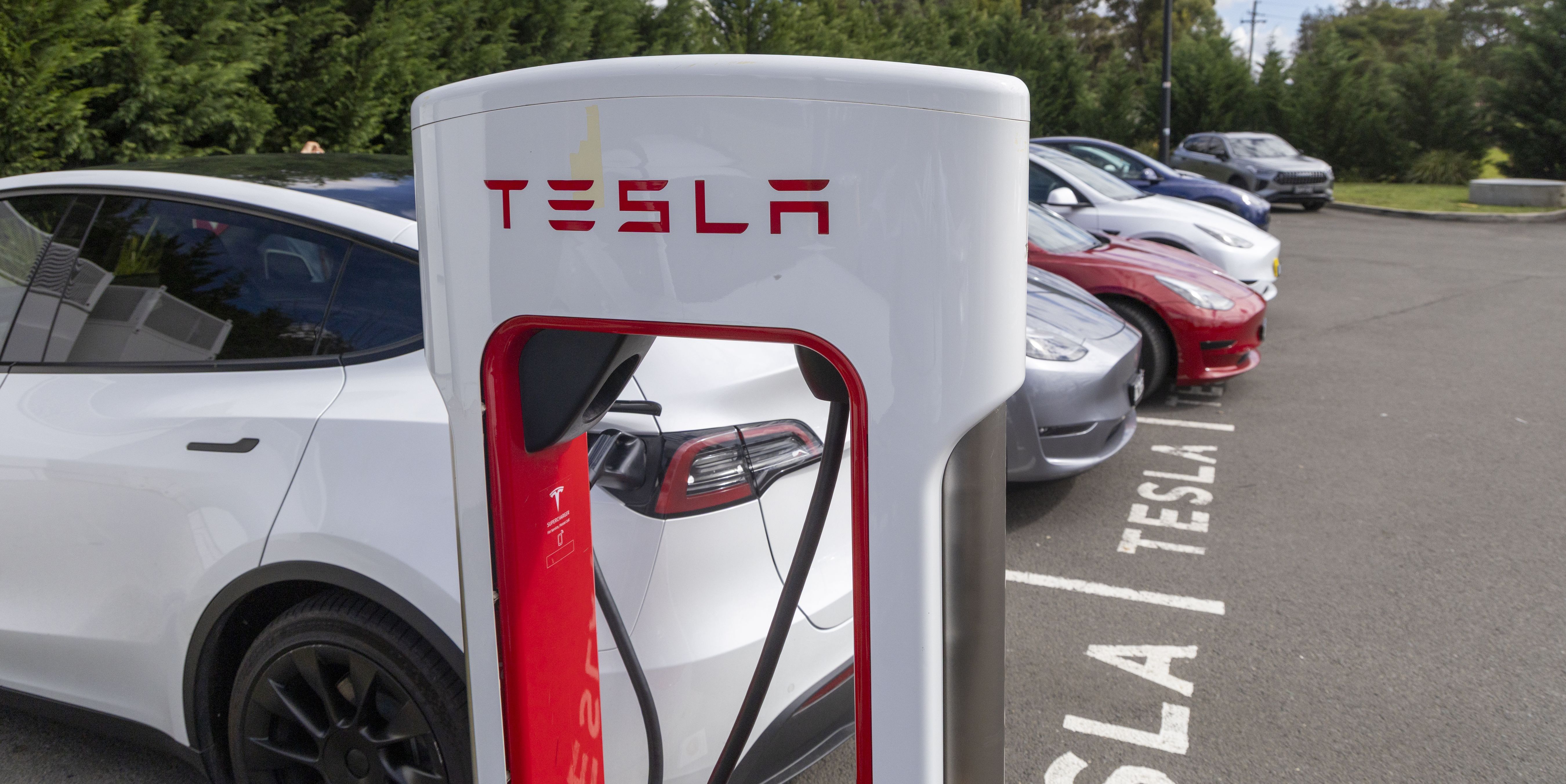 Tesla Robotaxis Are Coming to More Cities—Here's What's Next After Austin