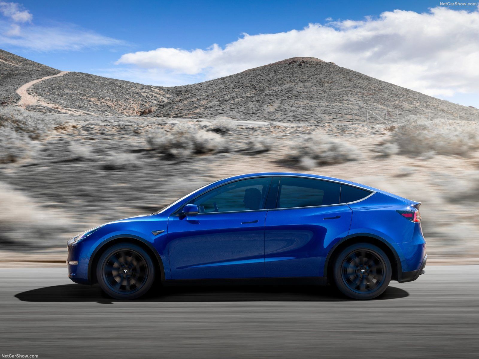 Tesla Model Y Performance Does 315 Miles on a Charge, EPA Says