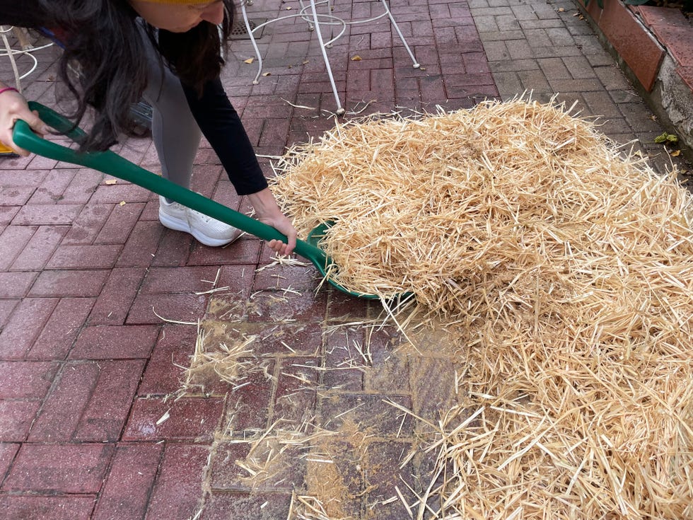 consumer testing of snow shovels