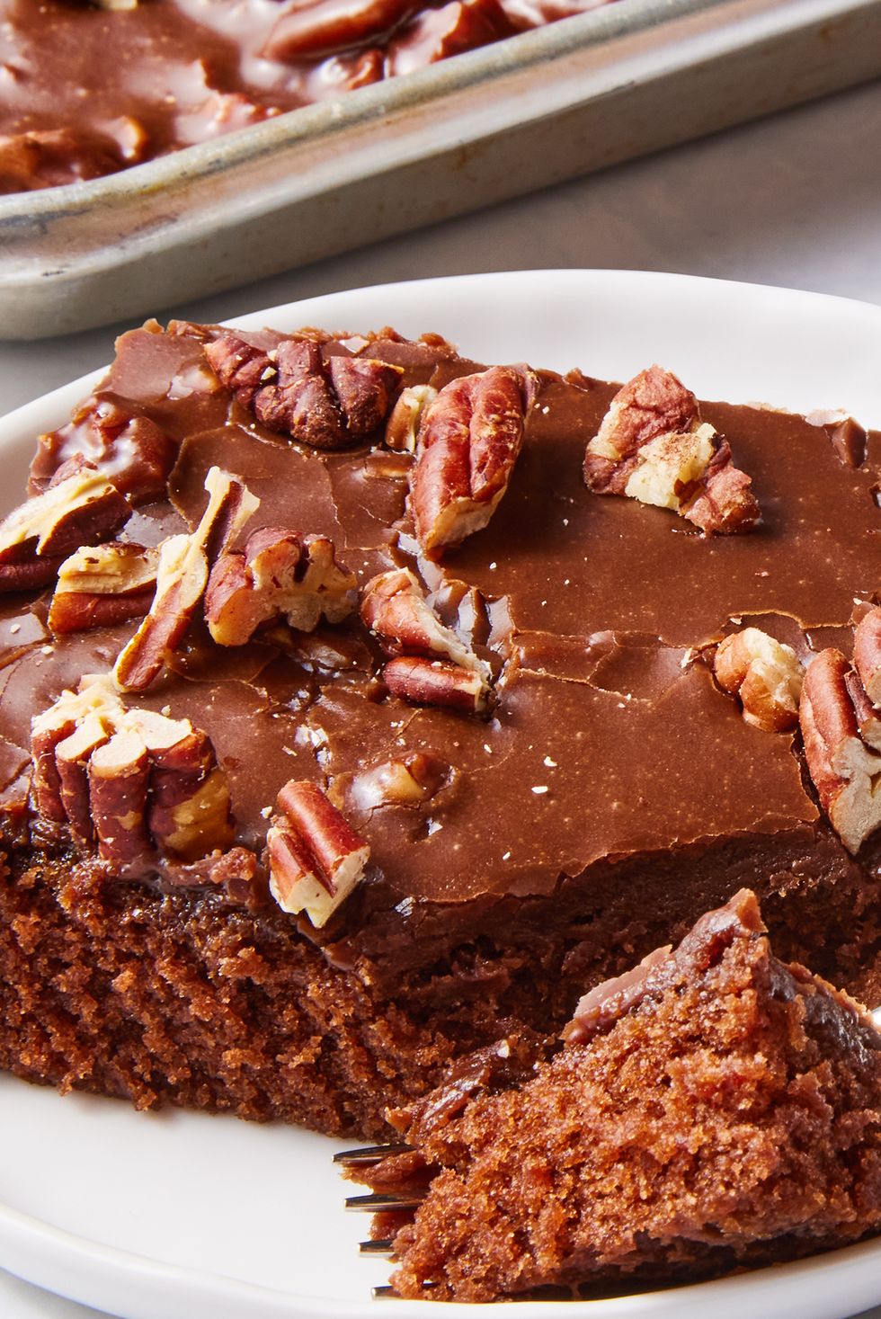 chocolate texas sheet cake with pecans