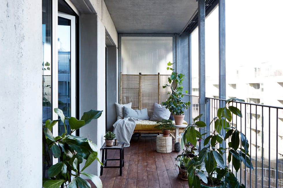 balcony garden ideas