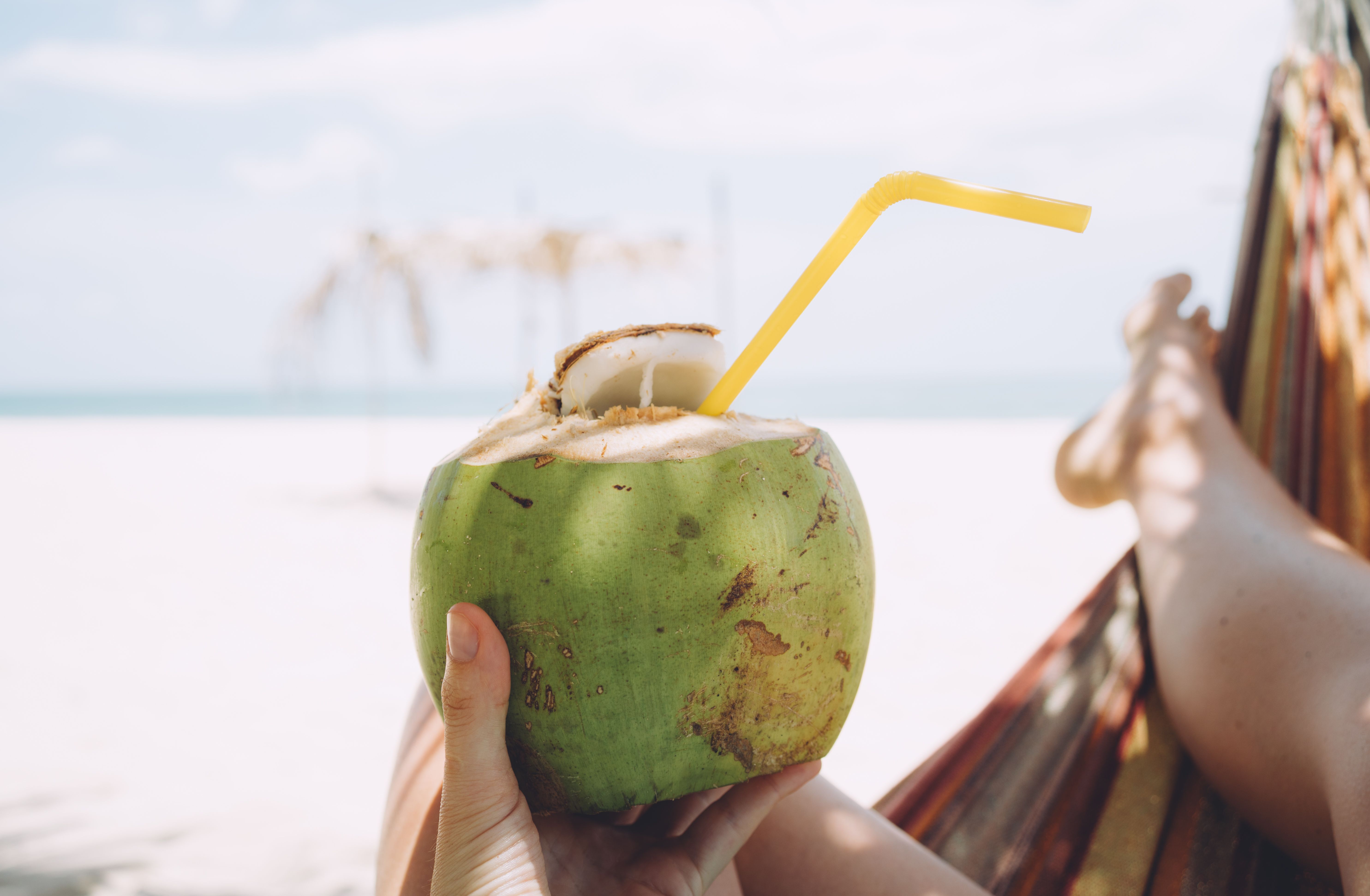 Corroer intencional Primitivo Agua de coco: beneficios, propiedades, calorías que posee