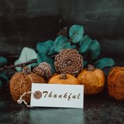 giving thanks with pumpkin assortment still life and thankful message