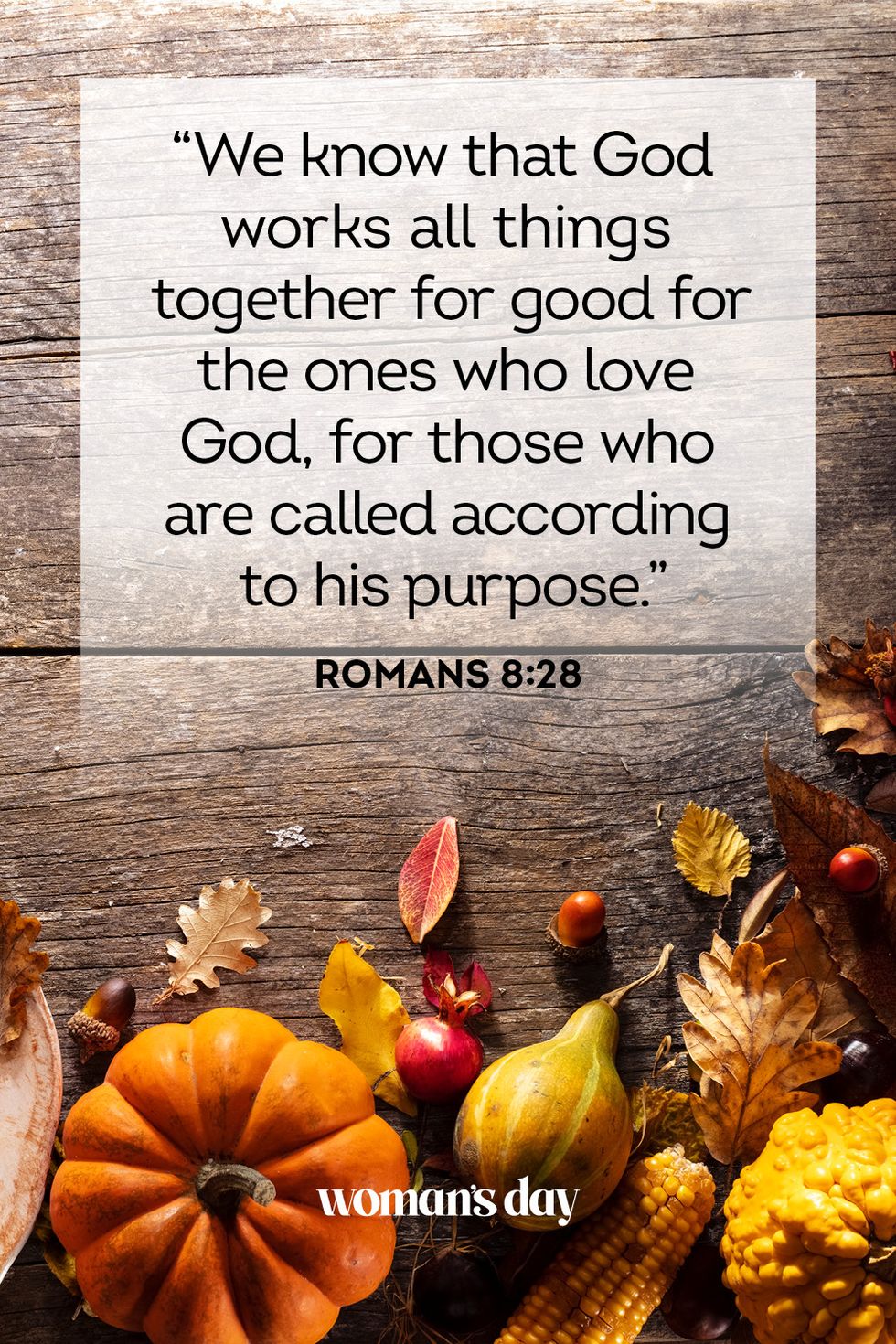 thanksgiving bible verses romans 8 28