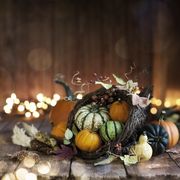 Thanksgiving Cornucopia Meaning History What Is a Cornucopia