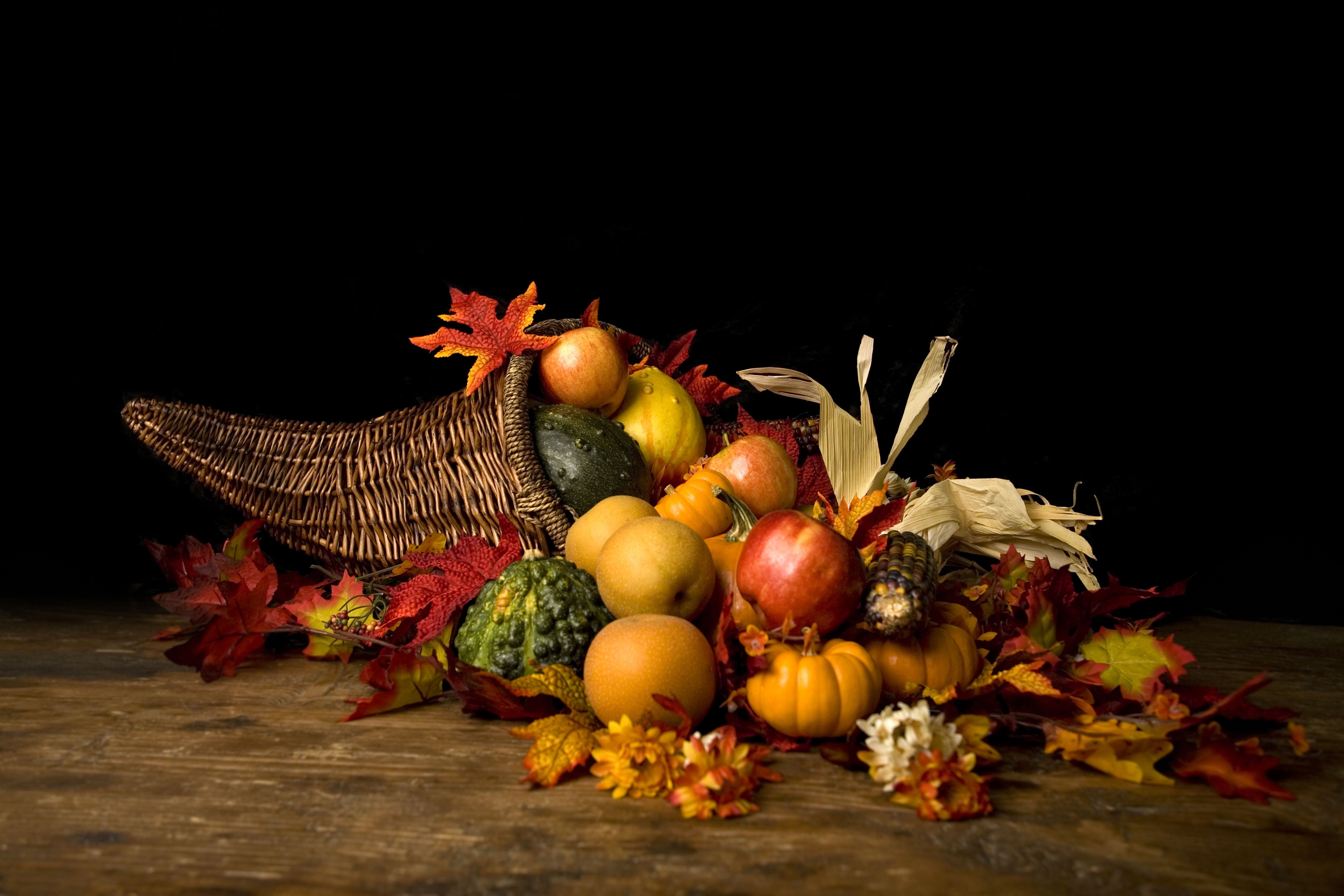 Thanksgiving Cornucopia Door Décor