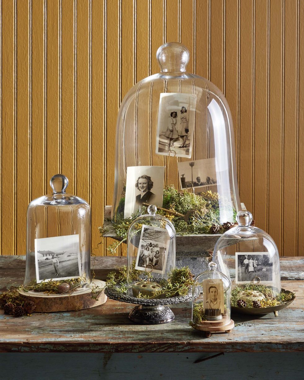 use vintage flower frogs to hold photos upright, then place beneath glass cloches and bell jars