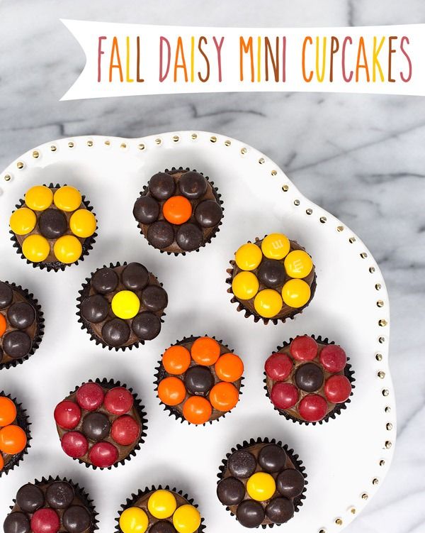 fall daisy mini cupcakes