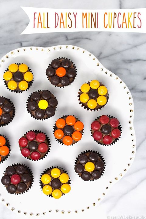 fall daisy mini cupcakes