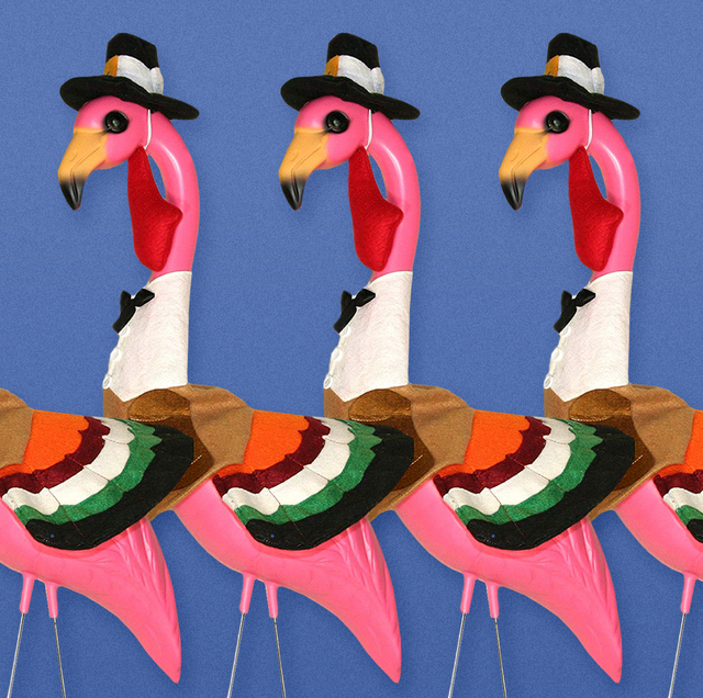 Thanksgiving Flamingo