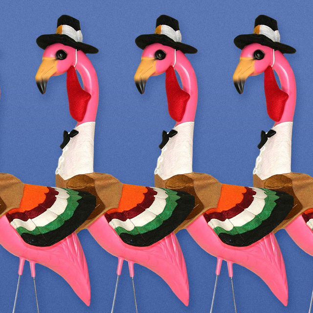Thanksgiving Flamingo