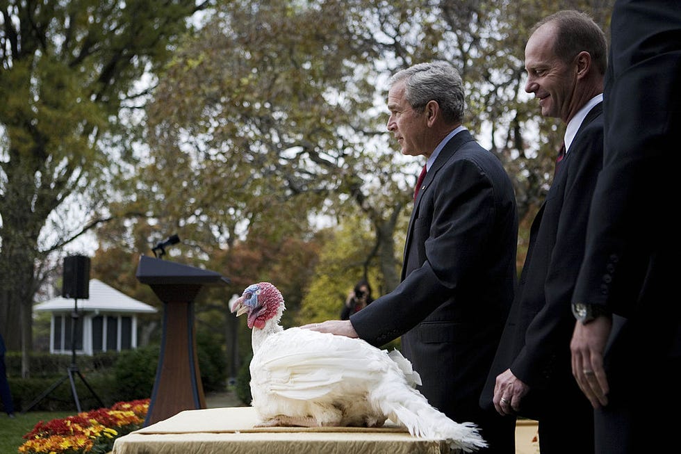 Thanksgiving Day Fun Facts - President Pardoning Turkey