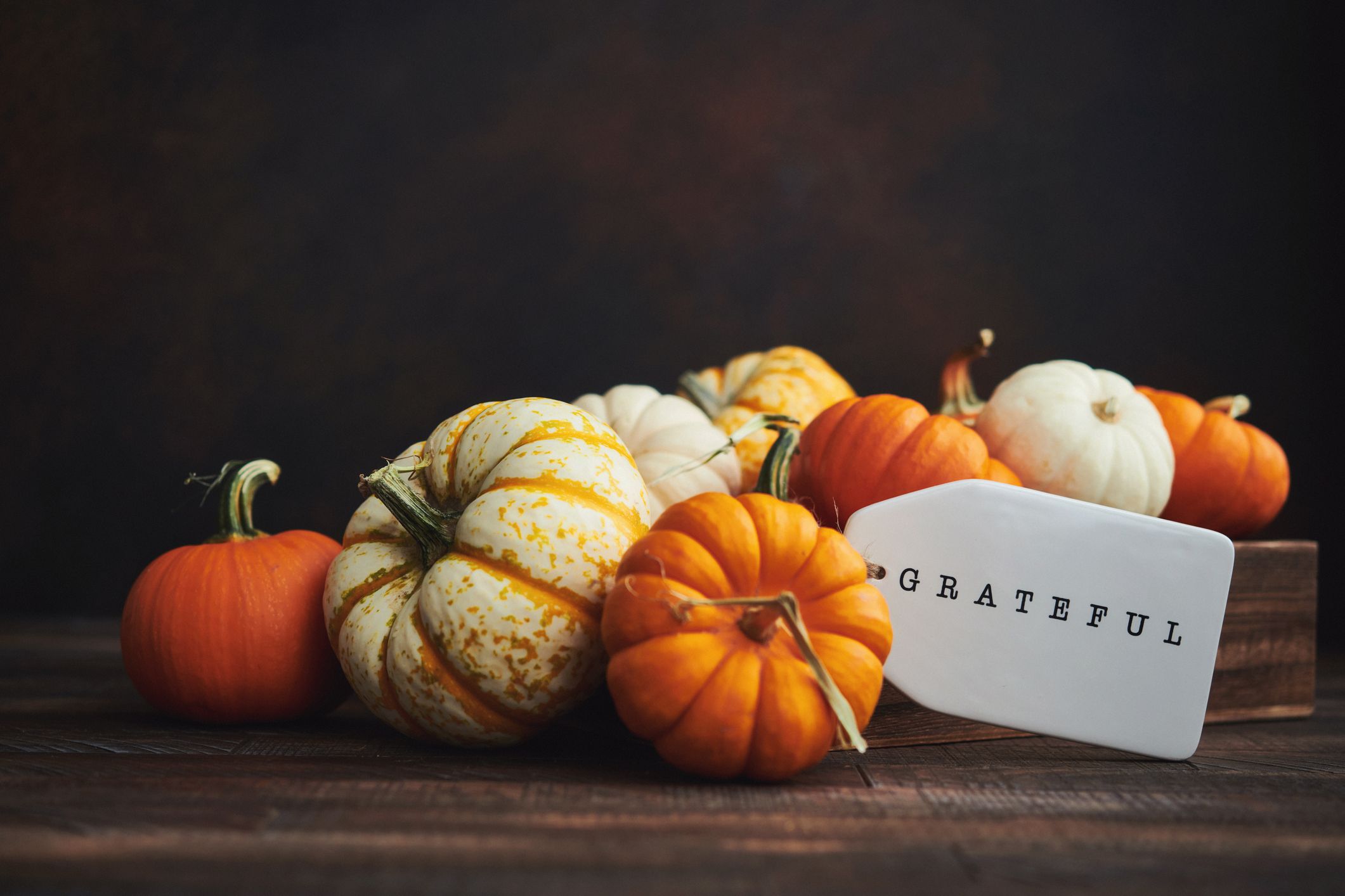 40 Thanksgiving Greetings - What to Write in a Thanksgiving Card