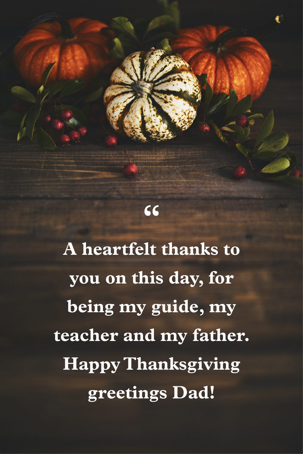 40 Thanksgiving Greetings - What to Write in a Thanksgiving Card