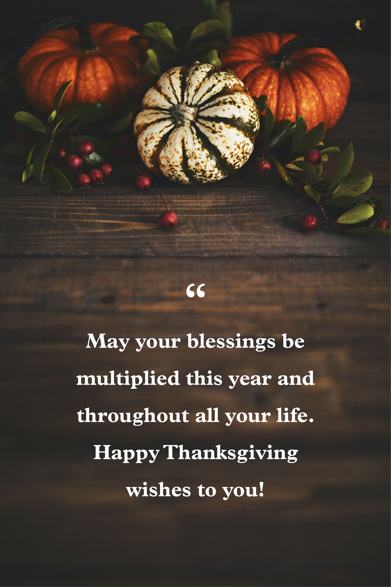 Wishing You a Happy Thanksgiving