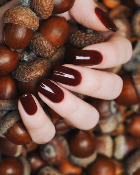 burgundy brown manicure on a background of acorns