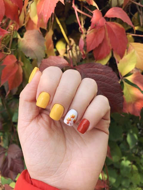 beautiful autumn manicure design on well groomed female nails soft square shape fall leaves