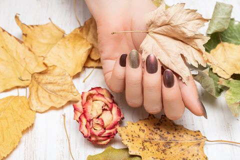 female hand with dark red nail design brown nail polish manicured hand woman hand hold yellow autumn leaf