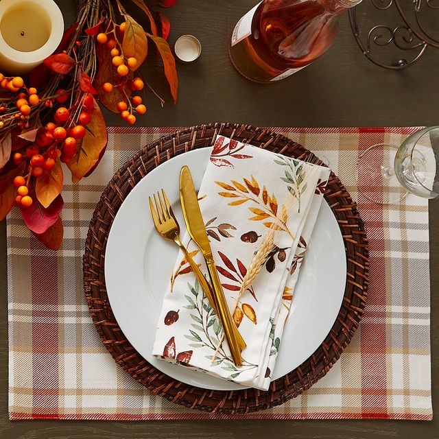 https://hips.hearstapps.com/hmg-prod/images/thanksgiving-placemats-64c0272874458.jpg?crop=0.425xw:0.850xh;0.0472xw,0.0717xh&resize=640:*
