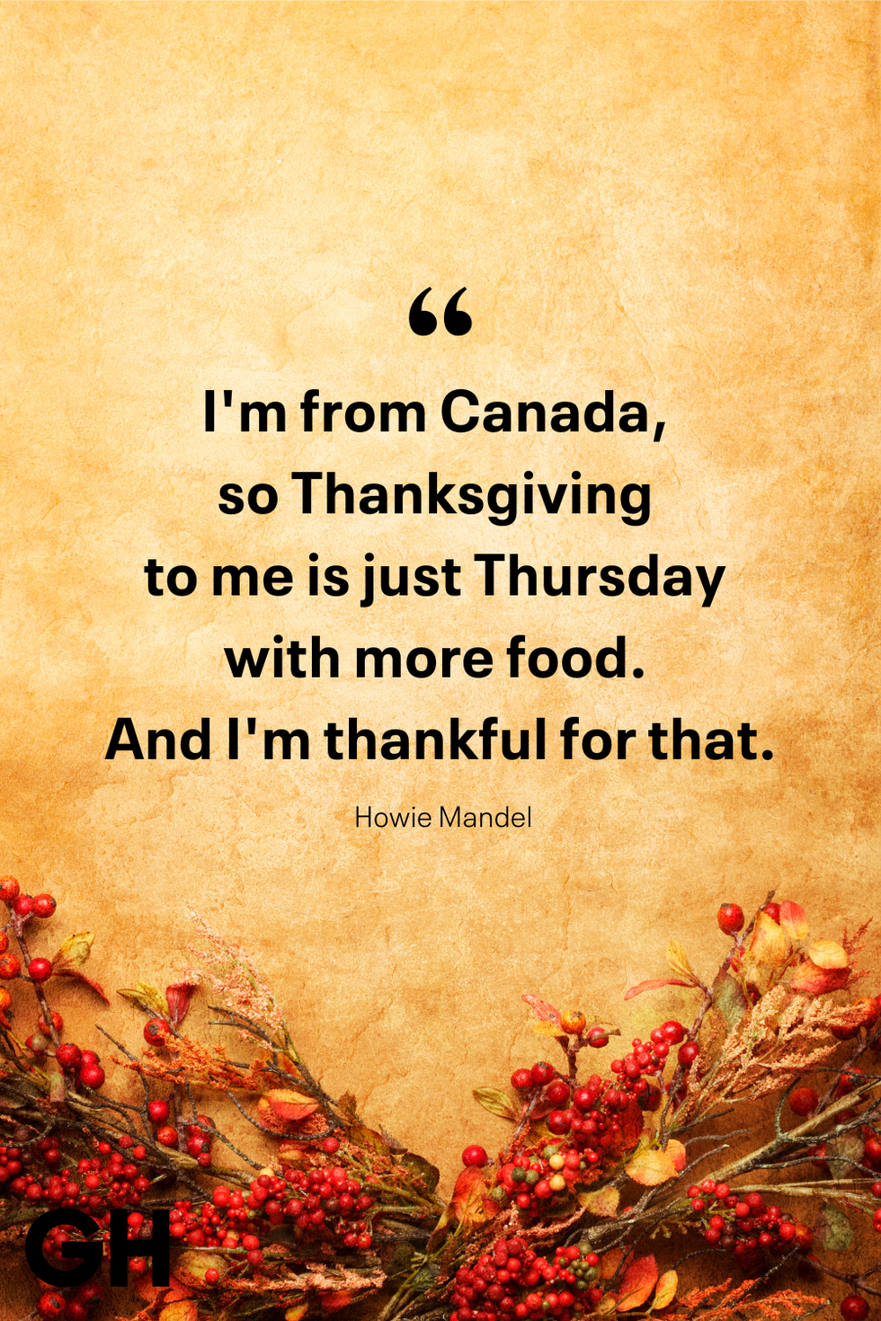 i'm from canada, so thanksgiving to me is just thursday with more food and i'm thankful for that howie mandel