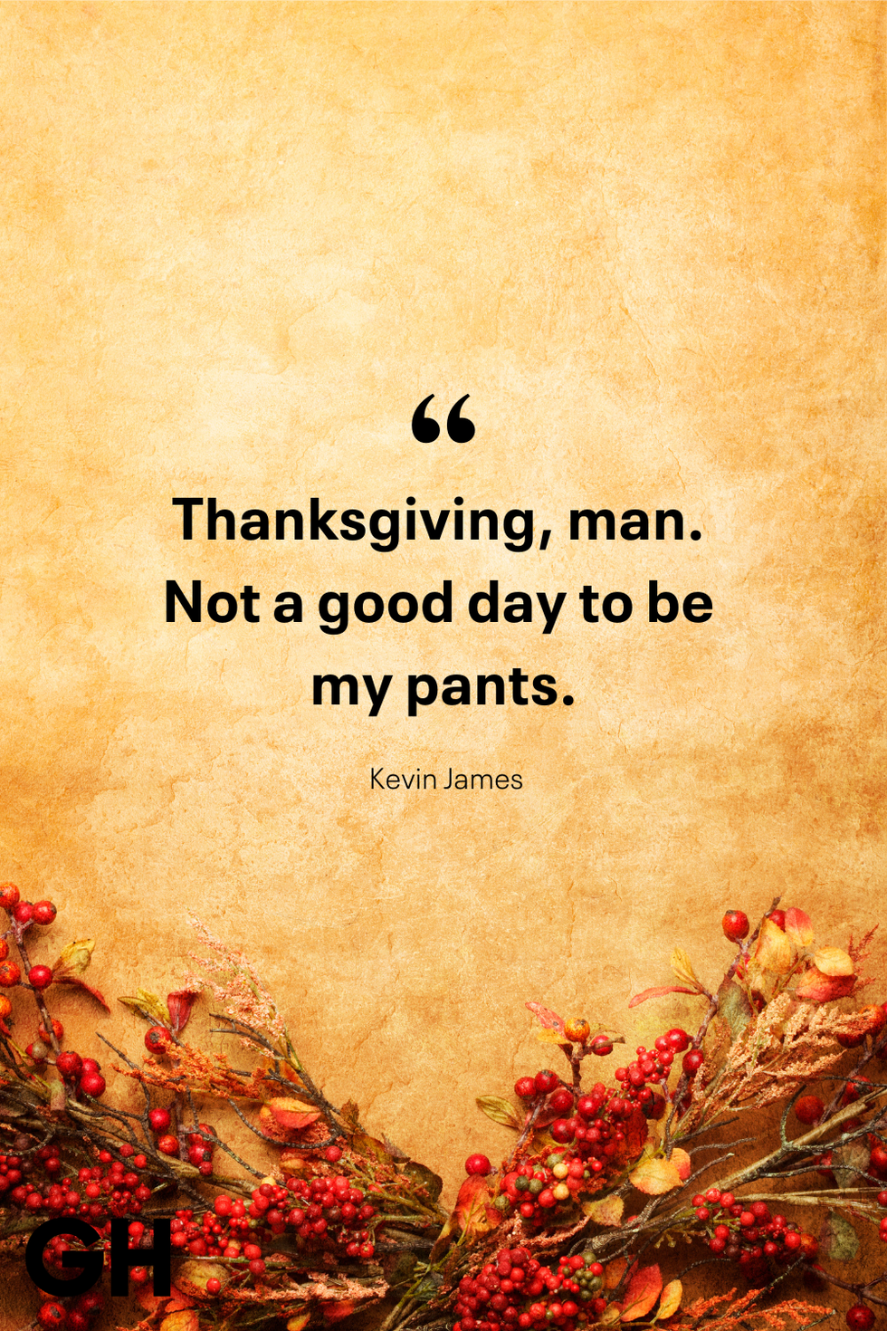 thanksgiving man not a good day to be my pants kevin james