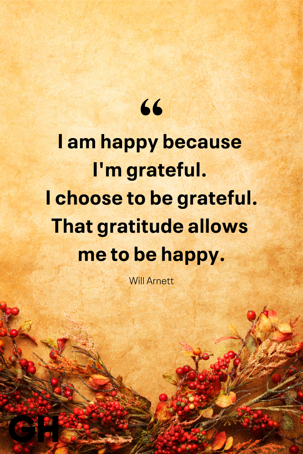 i am happy because i'm grateful i choose to be grateful that gratitude allows me to be happy will arnett